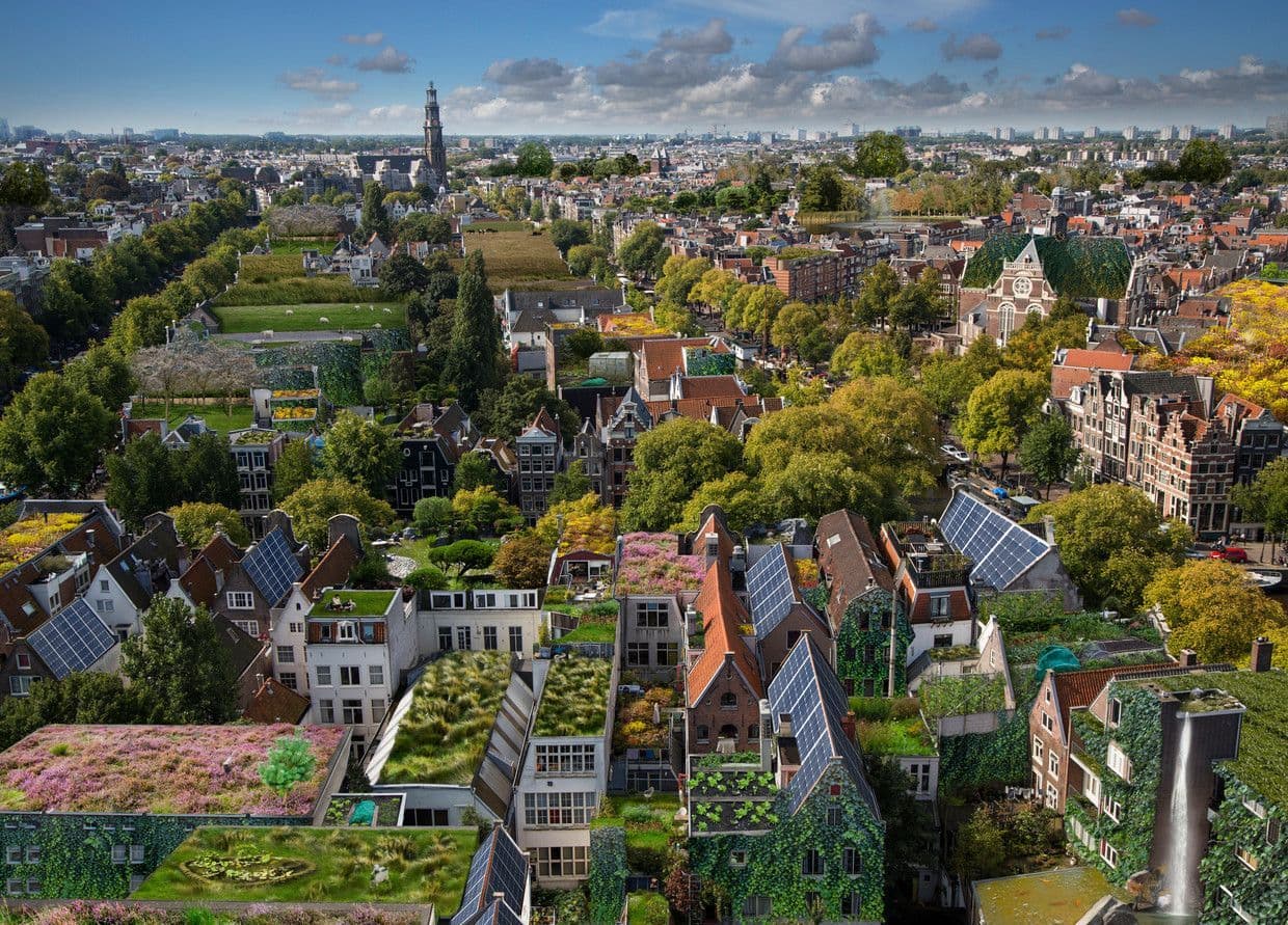 Subsidies beschikbaar voor een groen dak